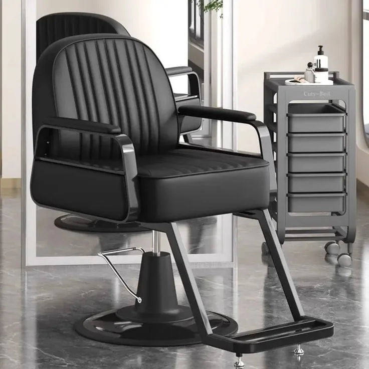 Modern Styling Salon Chair