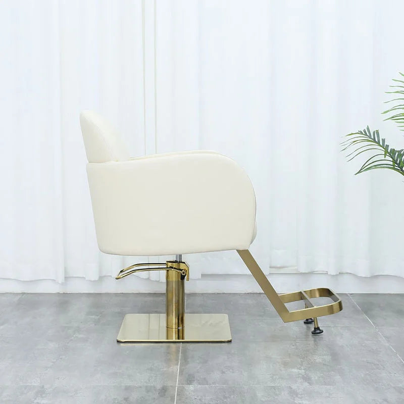 Luxury Gold Hydraulic Salon Styling Chair