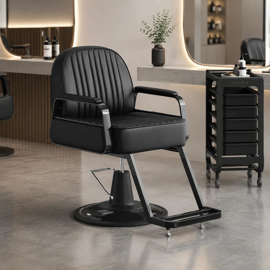 Modern Styling Salon Chair