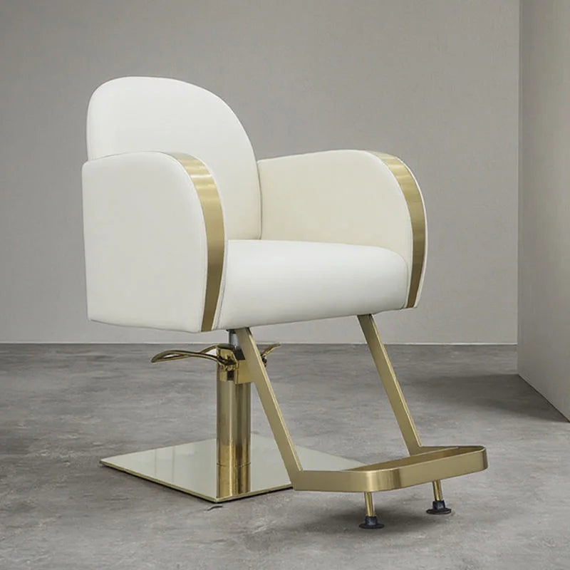 Luxury Gold Hydraulic Salon Styling Chair