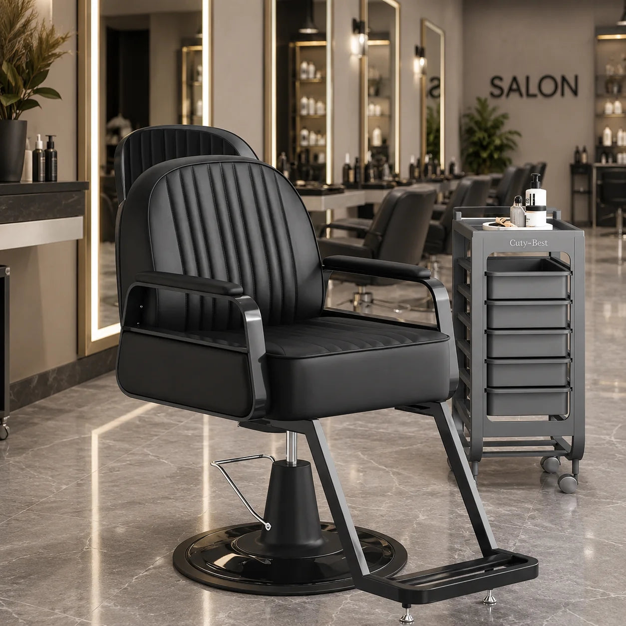 Modern Styling Salon Chair
