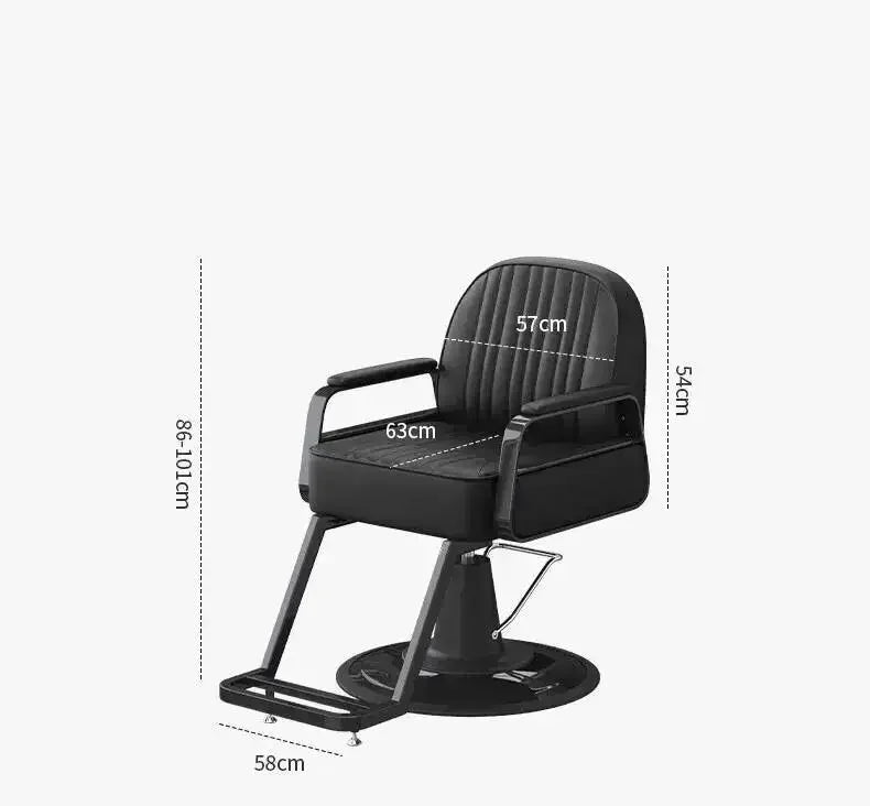 Modern Styling Salon Chair