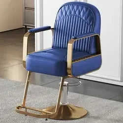 Premium Hydraulic Salon Styling Chair