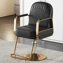 Premium Hydraulic Salon Styling Chair