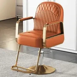Premium Hydraulic Salon Styling Chair