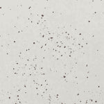 TUNDRA GRAY